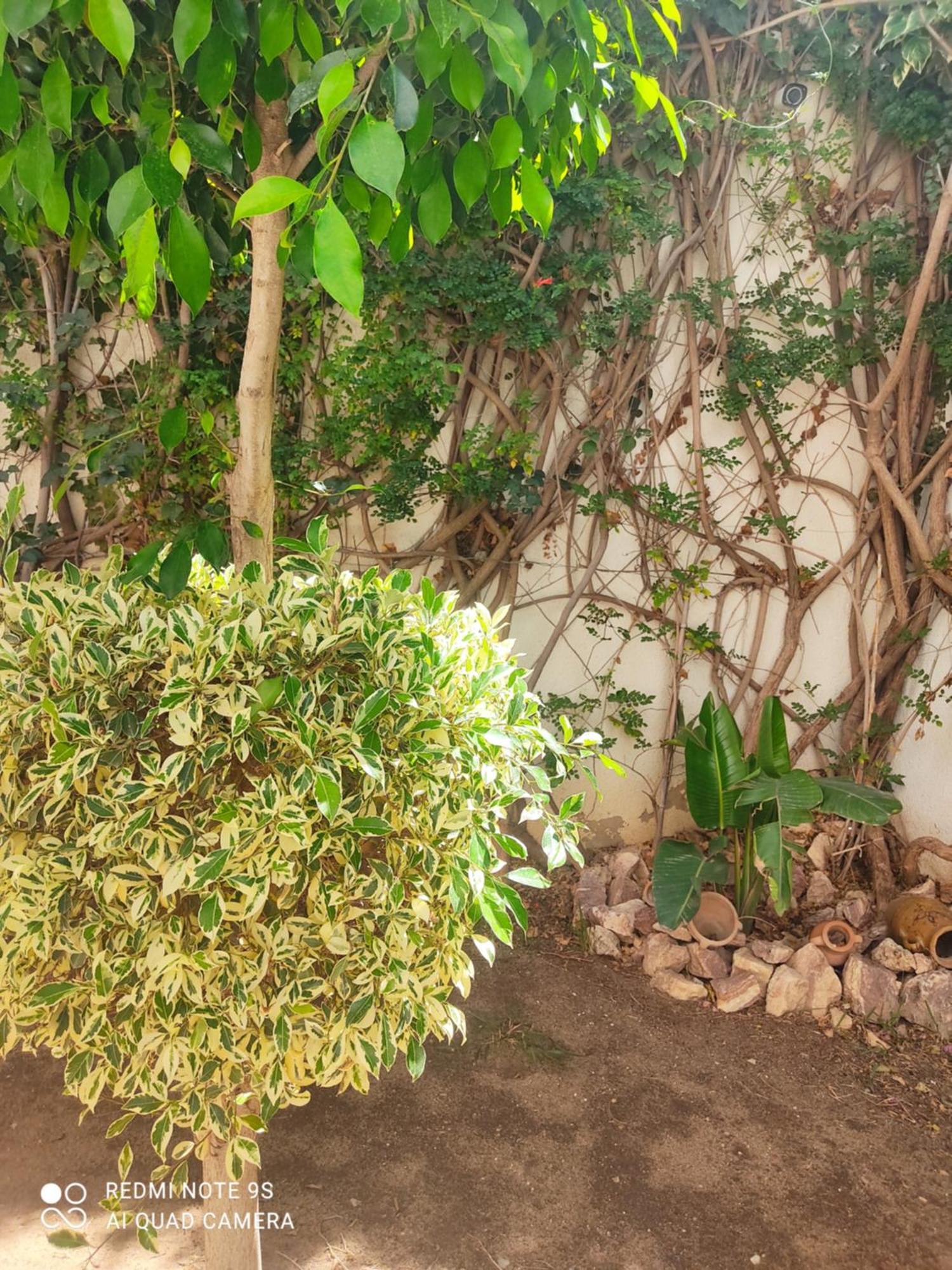 אריאנה Etage De Villa Avec Jardin, Pres De L'Aireport Et Parking Prive מראה חיצוני תמונה