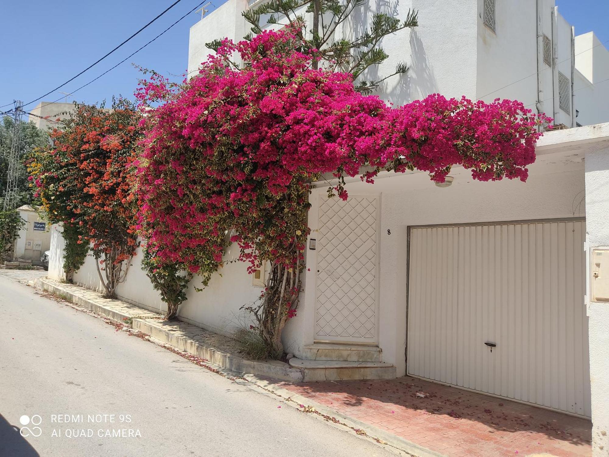 אריאנה Etage De Villa Avec Jardin, Pres De L'Aireport Et Parking Prive מראה חיצוני תמונה